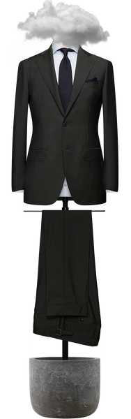 4950SHS0541